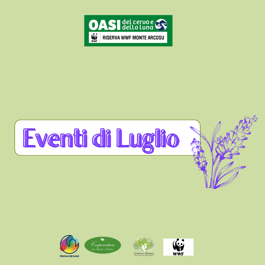 Eventi di Luglio