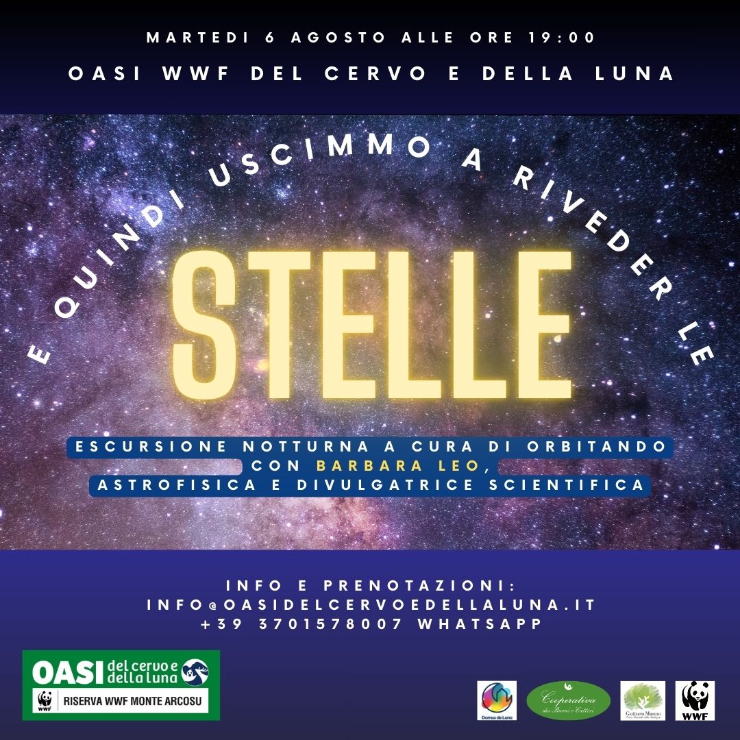 agosto e quindi uscimmo a riveder le stelle (ITA)