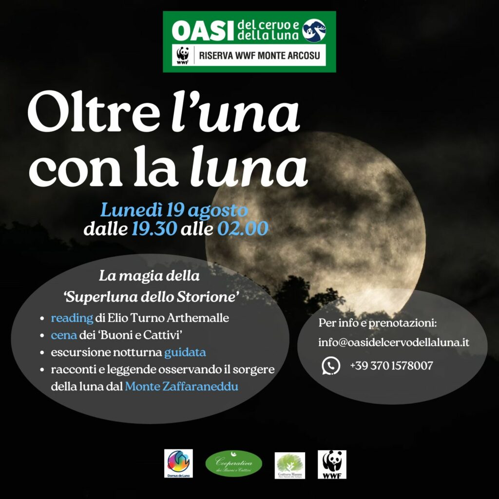 19agosto Oltre l'una con la luna