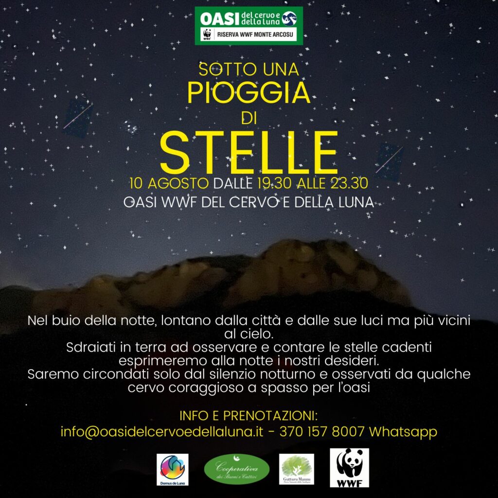 Sotto una pioggia di stelle ITA