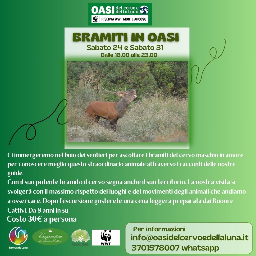 bramiti all'oasi WWF del Cervo e della Luna (ITA)