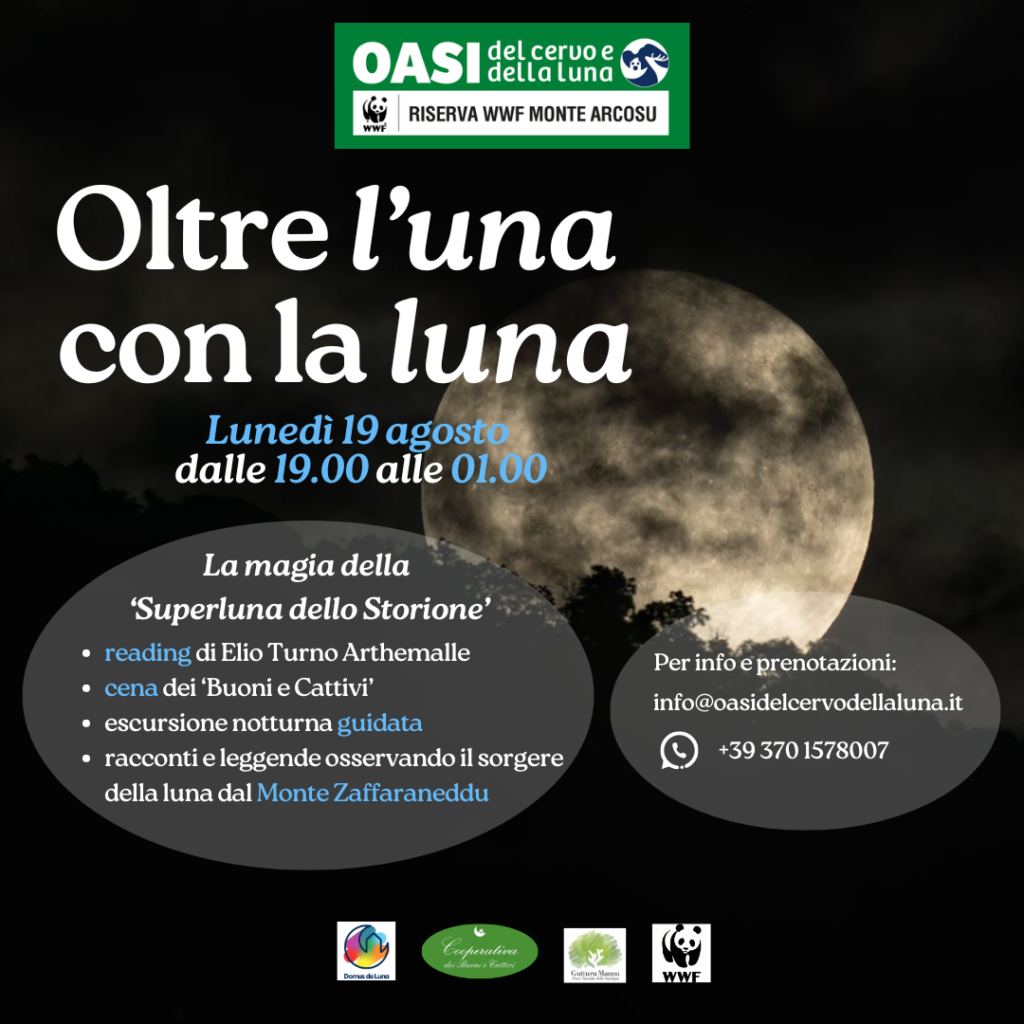 Oltre l'una con la luna (ITA)