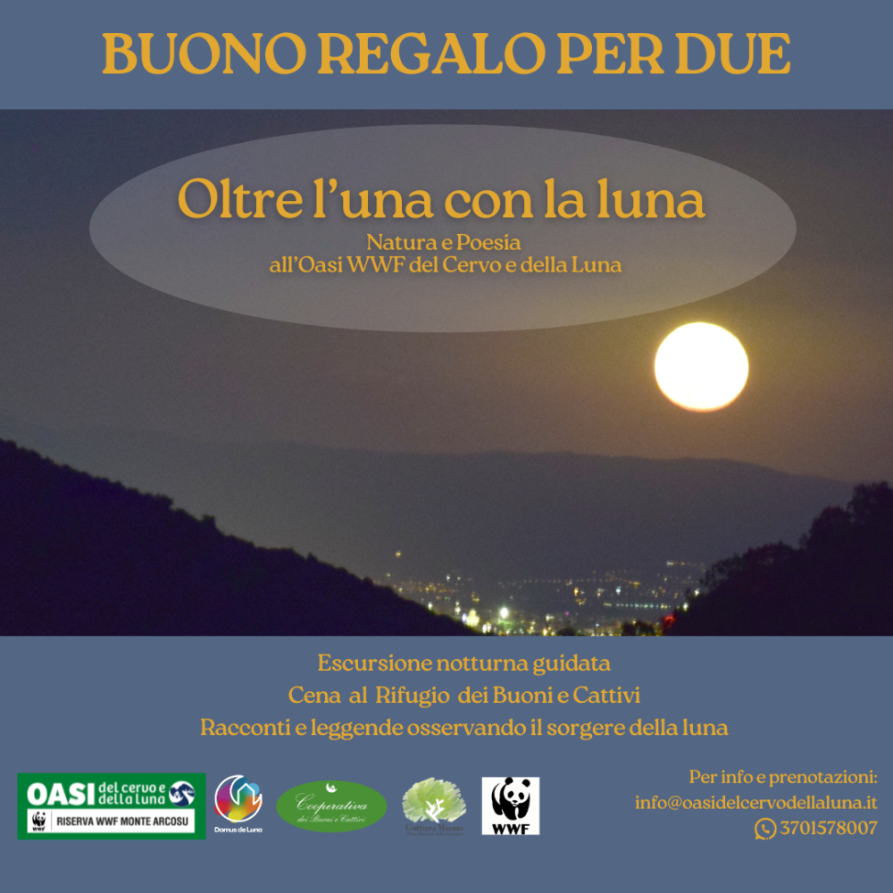 Buono oltre l'una con la luna (1)